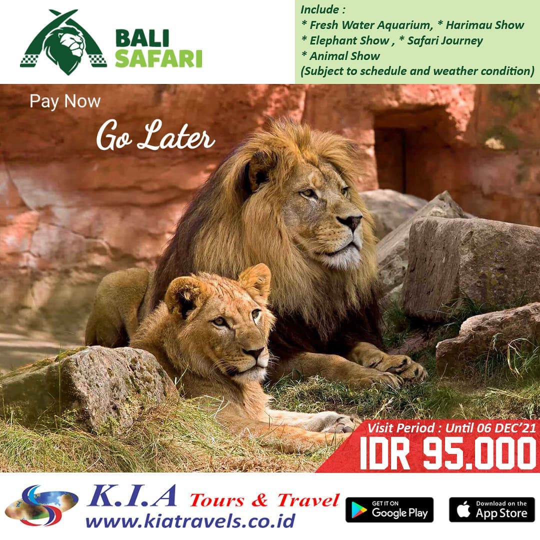 Newsletter from KIA Tours & Travel