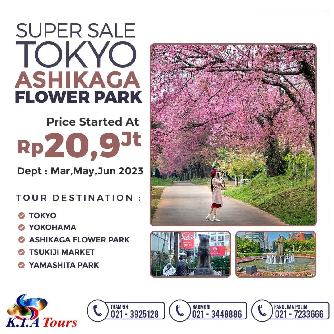 Newsletter from KIA Tours & Travel