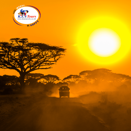 Collection image for: Safari Tour