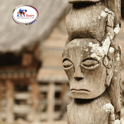 Collection image for: Medan Tour