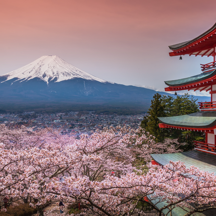 Collection image for: Jepang Tour