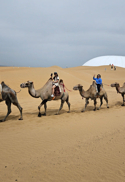 <strong>Inner Mongoia</strong> - Destinasi terbaru untuk menikmati Padang Gurun, Padang Rumput dan mempelajari kebudayaan bangsa Mongolia yang sangat unik dan menarik.
