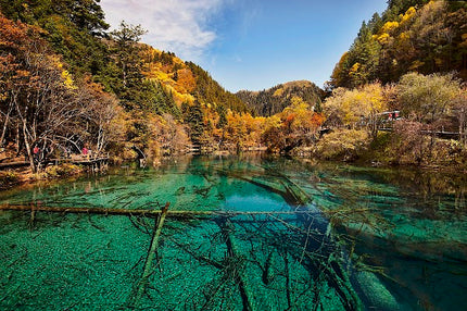 9D7N CHONGQING CHENGDU JIUZHAIGOU BY QG DEP. DEC 2025