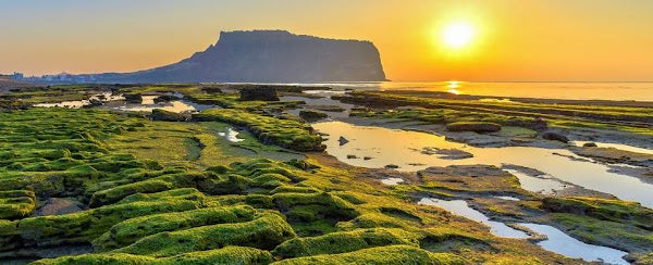 7D Deluxe Korea Jeju by OZ GA KE Mar - Sep 2026