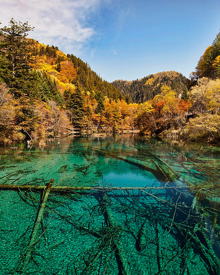 8D CONSORTIUM CHONGQING CHENGDU JIUZHAIGOU BY MF DEP. JAN 2026 - MAR 2026