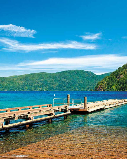 9D CONSORTIUM GANSU POPULUS EUPHRATICA FOREST TOUR BY OD DEP. OCT 2025