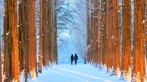 6D Korea Super Winter by OZ Nov - Feb 2026