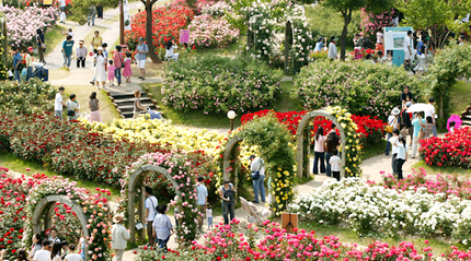 6D BEST DEAL KOREA + MT SORAK BY TW DEP. APR - JUN 2026