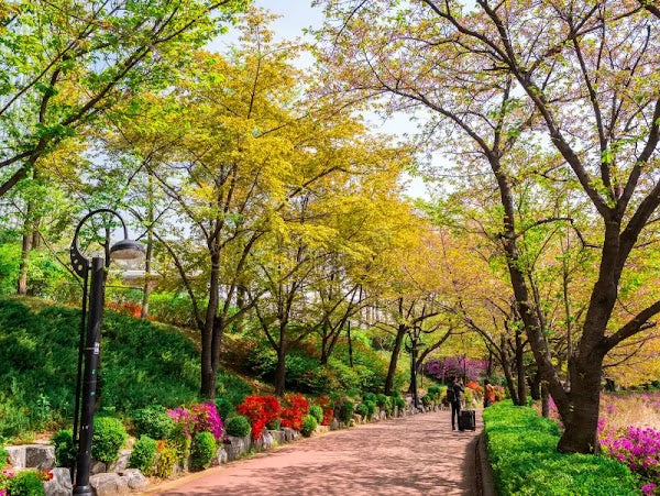 TW Inaugural Promotion 6D Incheon Seoul 01May 2026