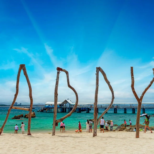 5D3N CONSORTIUM BEST DEAL HAINAN DEP. NOV - DEC 2024