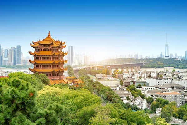 8D CONSORTIUM WUHAN (NO SHOP) BY MF DEP. MAY 2026 - OCT 2026