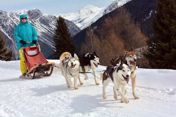 13D WEST EUROPE HUSKY EXPERIENCE + JUNGFRAUJOCH & PANORAMIC TRAIN BY EK DEP. DEC 2025