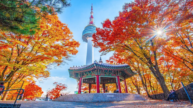 8D Charming Winter Korea + Train to Busan by OZ dep. 20, 26, 29 Dec 2025