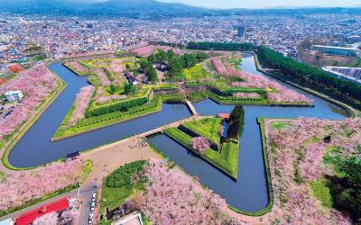 7D BEAUTIFUL JAPAN SAPPORO CHERRY BLOSSOM BY NH DEP 22 APR 2026