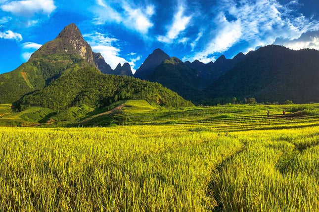 6DAYS NORTHERN VIETNAM BY VJ DEP. AUG 2025 - FEB 2026