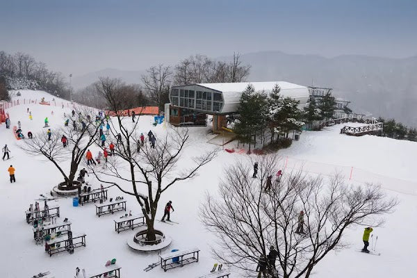 8D Wonderful Winter Korea + Ski Resort by GA dep 19, 23, 24, 29 Dec 2025
