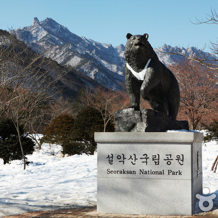 7D FAVORITE KOREA SKI RESORT + MT.SORAK DEP. NOV 2024 - FEB 2025