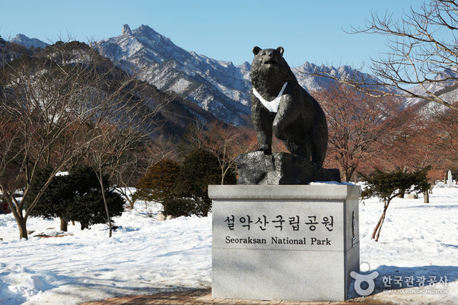 7D FAVORITE KOREA SKI RESORT + MT.SORAK DEP. NOV 2024 - FEB 2025