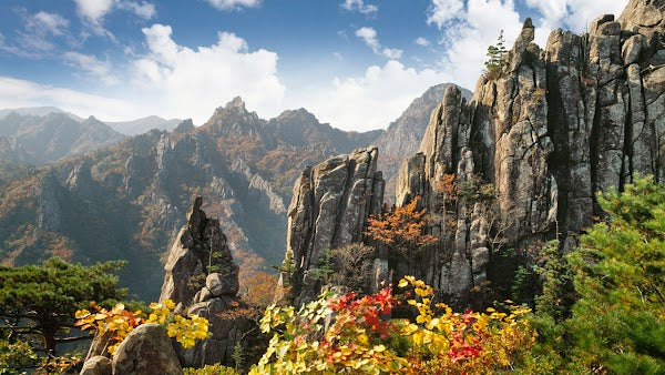 7D DELUXE KOREA JEJU DEP. JUN-OCT 2025