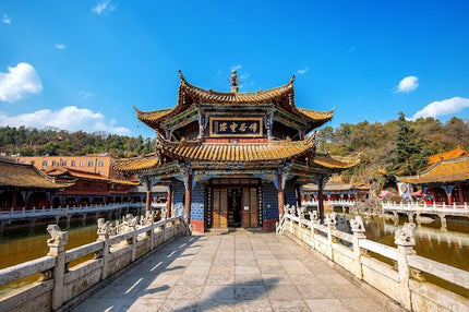 9D7N CONSORTIUM LUSHLY OF YUNNAN BY QG DEP. MAR 2026 - JUN 2026