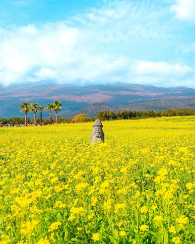 7D GRAND SALE KOREA JEJU + SEOUL dep. Aug - Nov 2026