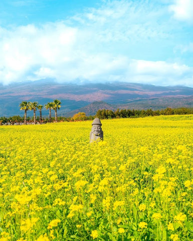 7D GRAND SALE KOREA JEJU + SEOUL dep. Aug - Nov 2026