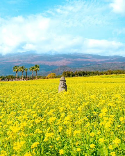 7D GRAND SALE KOREA JEJU + SEOUL dep. Aug - Nov 2026