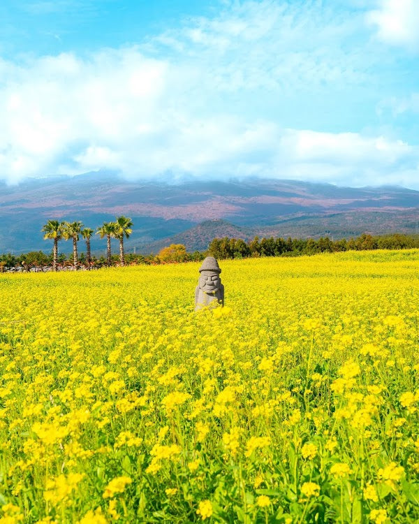 7D GRAND SALE KOREA JEJU + SEOUL dep. Aug - Nov 2026