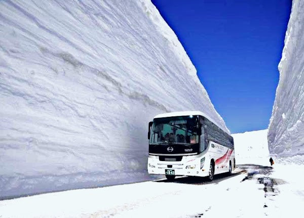 7D CONSORTIUM JAPAN SPRING GOLDEN ROUTE+ ALPINE ROUTE + SHIRAKAWAGO+TOYAMA  BY MH DEP. 16 APR 2026