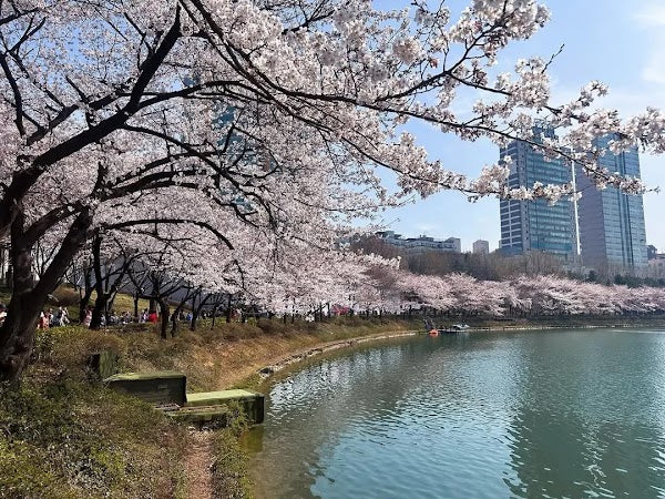 5D SUPER SALE SEOUL + LOTTE WORLD by OZ/KE 2026