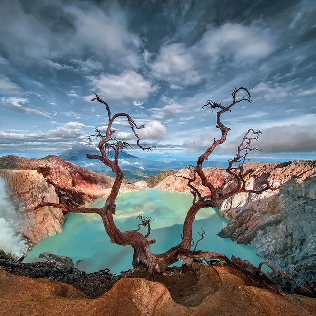 BANYUWANGI + IJEN 3D2N