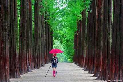 5D Super Fun Korea + Mt.Sorak by OZ KE TW May - Oct 2026