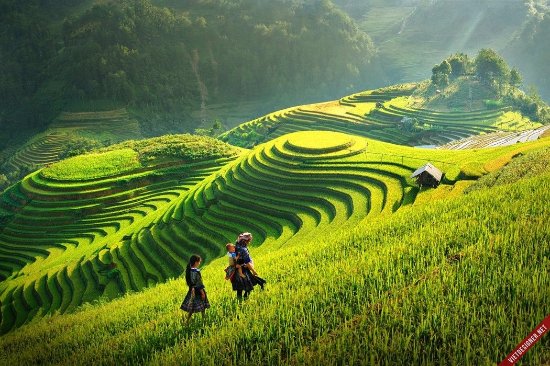 6Days Northern Vietnam by VJ Mar - Sep 2026