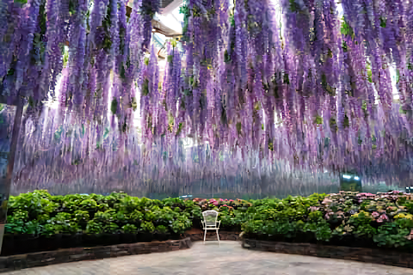 8D SPRINGTIME KOREA + EVERLAND BY GA DEP. 21 MAR 2026