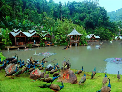 8D CONSORTIUM GOLDEN TRIANGLE (YUNNAN, LAOS, LITTLE THAILAND) BY 8L DEP. APR 2026 - JUN 2026