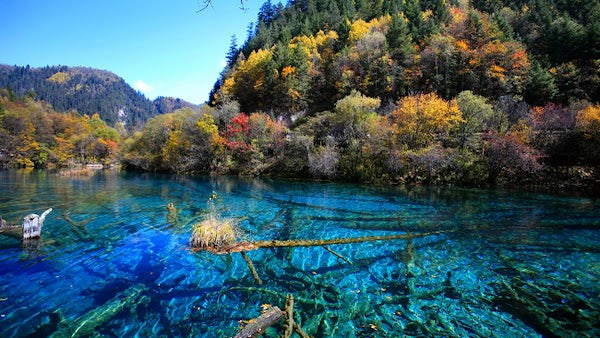 9D BEST OF CHONGQING ZHANGJIAJIE + SHENZHEN BY GA DEP. DEC 2026