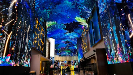 7D Grandsale Winter Korea Jeju by OZ Oct - Feb 26