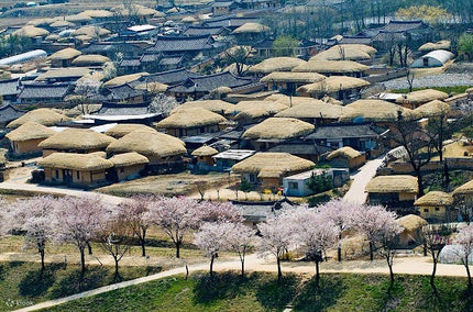 8D Amazing Korea Jeju Busan by OZ KE May - Oct 2026
